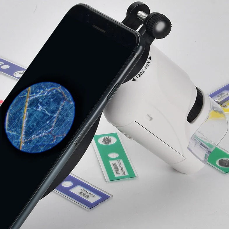 Kids Portable LED Pocket Microscope Toy - Image 5